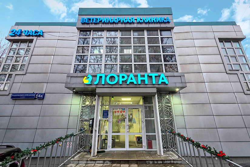Компания