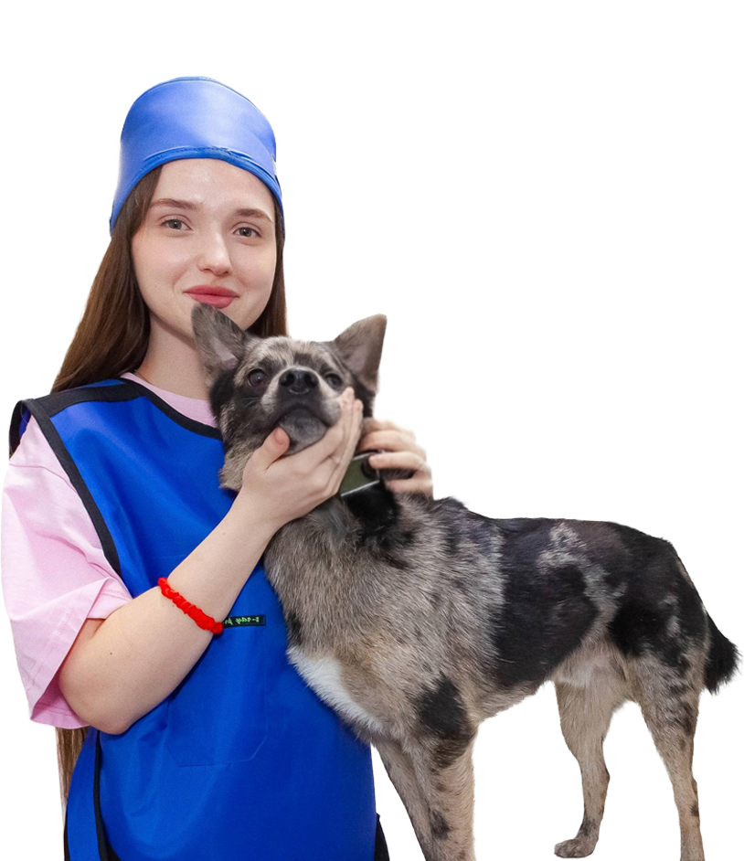 Все необходимые<br>исследования<br>в одном месте