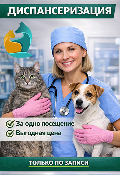Диспансеризация