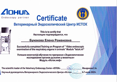 2023 г. Сертификат об окончании обучения по программе «Эндоскопическое исследование органов дыхания у животных», Исток
