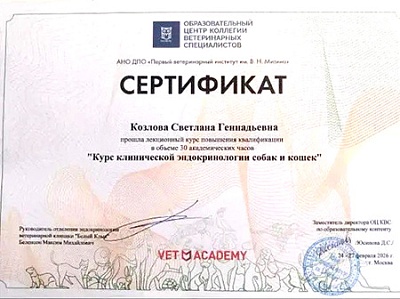 2026 г. Сертификат о прохождении лекционного курса повышения квалификации «Курс клинической эндокринологии собак и кошек», АНО ДПО «Первый ветеринарный институт им. В.Н.Митина»