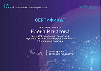 2023 г. Сертификат участника курса лекций «Диагностика патологий грудной полости» с Джилиолой Спаттини, IQvet