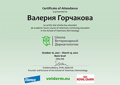 2022 г. Сертификат о прослушивании базового онлайн курса в Школе Ветеринарной Дерматологии