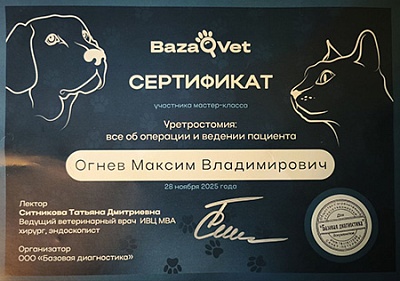 2025 г. Сертификат участника мастер-класса «Уретростомия: всё об операции и ведении пациента», BazaVet