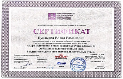 2019 г. Сертификат о прохождении лекционного курса и тренингов по хирургии мелких домашних животных в рамках программы «Курс подготовки ветеринарного хирурга. Модуль 3: Операции в области головы и шеи. Введение в эндоскопию верхних дыхательных путей», АНО