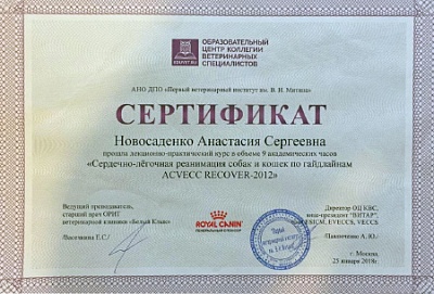 2018 г. Сертификат о прохождении лекционно-практического курса по теме «Сердечно-лёгочная реанимация собак и кошек по гайдлайнам ACVECC RECOVER-2012», ФНО ДПО «Первый ветеринарный институт им. В.Н. Митина»