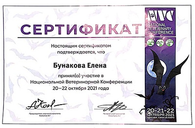 2021 г. Сертификат участника Национальной Ветеринарной Конференции 2021, NVC