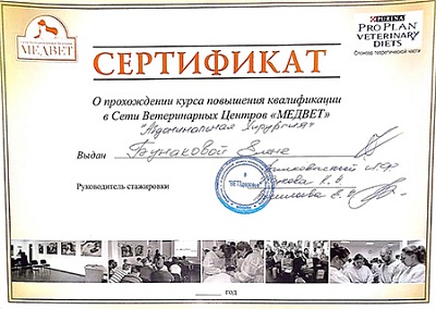 2019 г. Сертификат о прохождении курса повышения квалификации «Абдоминальная хирургия», Медвет