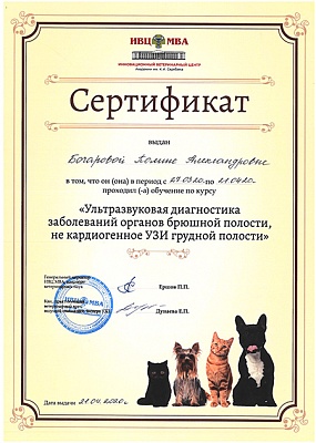 2020 г. Сертификат о прохождении обучения по курсу «Ультразвуковая диагностика заболеваний органов брюшной полости, не кардиогенное УЗИ грудной полости», ИВЦ МВА