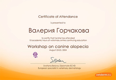 2024 г. Сертификат о прохождении онлайн курса по алопециям кожи
