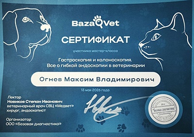 2026 г. Сертификат участника мастер-класса «Гастроскопия и колоноскопия. Всё о гибкой эндоскопии в ветеринарии», BazaVet