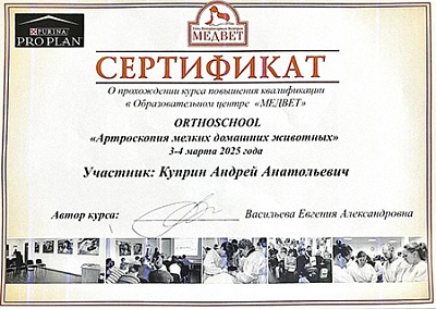 2025 г. Сертификат о прохождении курса повышения квалификации ORTHOSCHOOL «Артроскопия мелких домашних животных», Медвет