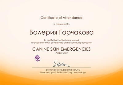 2023 г. Сертификат о прослушивании онлайн курса лекций «Неотложные состояния в дерматологии»
