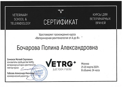 2021 г. Сертификат о прохождении курса «Ветеринарная рентгенология от А до Я», VETRG+