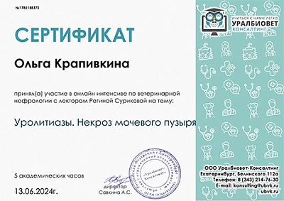 2024 г. Сертификат участника онлайн-интенсива по ветеринарной нефрологии на тему: «Уролитиазы.Некроз мочевого пузыря», УралБиоВет Консалтинг