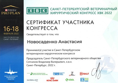 2022 г. Сертификат участника Санкт-Петербургского ветеринарного хирургического конгресса, ХВК 2022