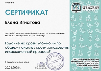 2026 г. Сертификат участника онлайн-интенсива по ветеринарии на тему: «Гадание на крови. Можно ли по общему анализу крови заподозрить инфекционный процесс», УралБиоВет