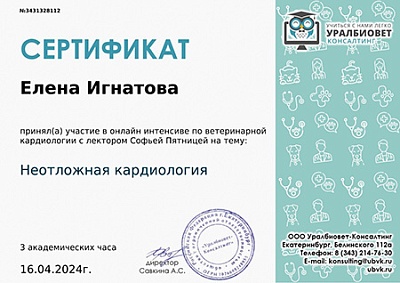 2024 г. Сертификат участника онлайн интенсива по ветеринарной кардиологии на тему: «Неотложная кардиология», УралБиоВет Консалтинг