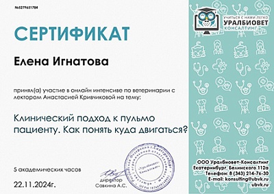 2024 г. Сертификат участника онлайн-интенсива по ветеринарии «Клинический подход к пульмо пациенту. Как понять куда двигаться?», УралБиоВет Консалтинг