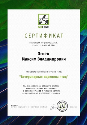 2023 г. Сертификат о прохождении обучающего курса по теме: «Ветеринарная медицина птиц», WebExoVet