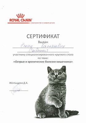 Сертификат участника круглого стола по теме «Острые и хронические болезни кишечника», Royal Canin