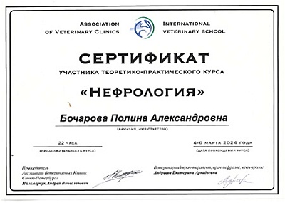 2024 г. Сертификат участника теоретико-практического курса «Нефрология», Ассоциация ветеринарных клиник