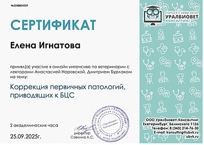 2025 г. Сертификат участника онлайн-интенсива по ветеринарии на тему: «Коррекция первичных патологий, приводящих к БЦС», УралБиоВет Консалтинг