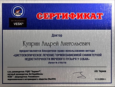 2024 г. Сертификат на бессрочное право использования метода «Цистоскопическое лечение гормонозависимой сфинктерной недостаточности мочевого пузыря у собак», ВЭШК