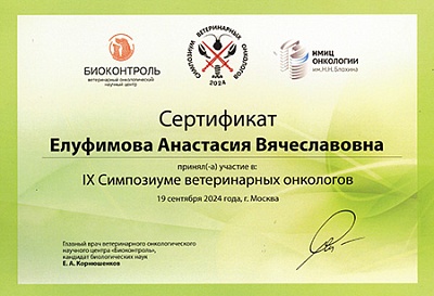 2024 г. Сертификат участника Национальной Ветеринарной Конференции, NVC