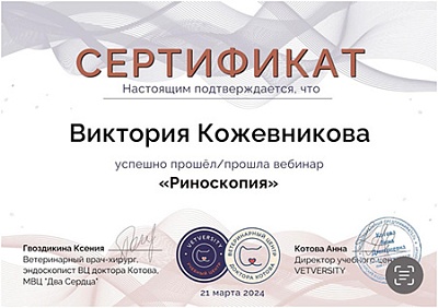 2024 г. Сертификат участника вебинара «Риноскопия», Vetversity