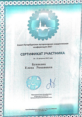 2017 г. Сертификат участника Санкт-Петербургской ветеринарной хирургической конференции 2017, Санкт-Петербургское ветеринарное общество