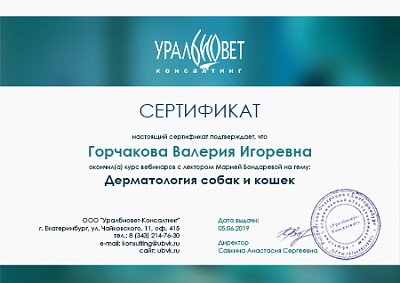 2019 г. Сертификат об окончании курса вебинаров на тему «Дерматология собак и кошек», Уралбиовет Консалтинг