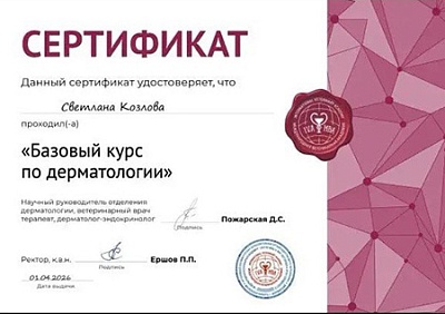 2026 г. Сертификат о прохождении курса: «Базовый курс по дерматологии», МВА