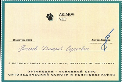 2024 г. Сертификат о прохождении обучения по программе: «Ортопедия - основной курс. Ортопедический осмотр и рентгенография», AKIMOV.VET
