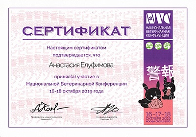 2019 г. Сертификат участника Национальной Ветеринарной Конференции, NVC