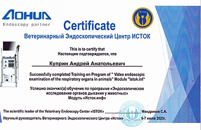 2023 г. Сертификат об успешном окончании обучения по программе «Эндоскопическое исследование органов дыхания у животных», Ветеринарный Эндоскопический Центр ИСТОК
