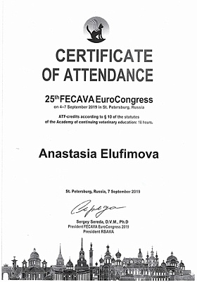 2019 г. Сертификат участника 25 европейского конгресса FECAVA, 25th FECAVA EuroCongress