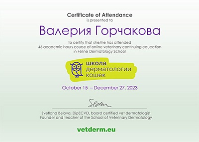 2023 г. Сертификат о прослушивании онлайн курса «Школа дерматологии кошек»