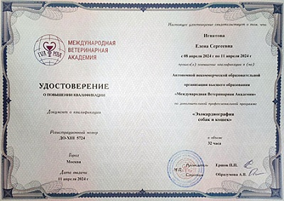 2024 г. Удостоверение о повышении квалификации по программе «Эхокардиография собак и кошек», Международная ветеринарная академия