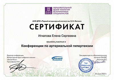 2023 г. Сертификат участника Конференции по артериальной гипертензии, АНО ДПО «Первый ветеринарный институт им. В.Н.Митина»