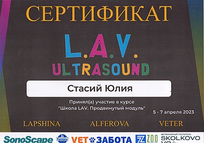 2023 г. Сертификат участника курса: «Школа LAV. Базовый уровень», L.A.V. ULTRASOUND
