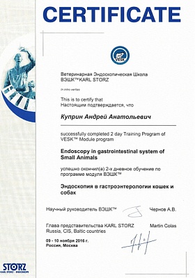 2016 г. Сертификат о прохождении обучения по программе «Эндоскопия в гастроэнтерологии кошек и собак» «VESK»