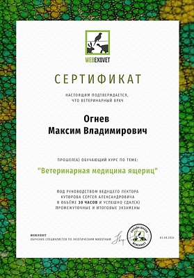 2024 г. Сертификат о прохождении обучающего курса по теме: «Ветеринарная медицина ящериц», WebExoVet