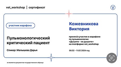 2024 г. Сертификат участника марафона по пульмонолгии «Дышите - не дышите» на платформе vet_workshop «Пульмонологический критический пациент»