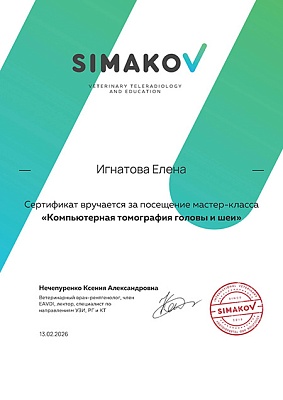 2026 г. Сертификат посетителя мастер-класса по теме «Компьютерная томография головы и шеи», Simakov