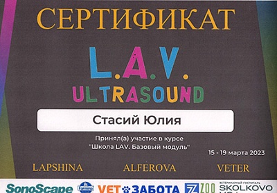 2023 г. Сертификат участника курса: «Школа LAV. Продвинутый модуль», L.A.V. ULTRASOUND