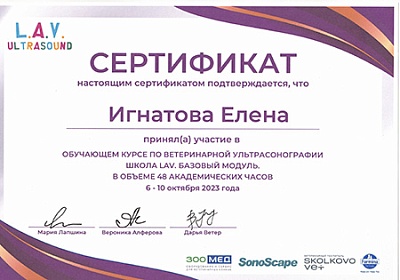 2023 г. Сертификат участника обучающего курса по ветеринарной ультрасонографии. Школа LAV. Базовый модуль.