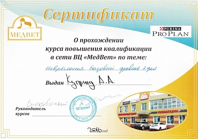 2016 г. Прошёл курс повышения квалификации по программе «Неврология, базовый уровень» «МЕДВЕТ»