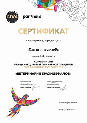 2024 г. Сертификат участника в Конференции международной ветеринарной академии: «Ветеринария брахиоцефалов», CIVA &amp; PARTNERS MOSCOW 2024
