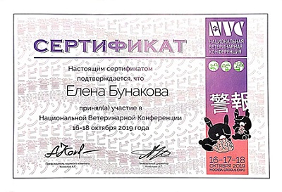 2019 г. Сертификат участника Национальной Ветеринарной Конференции 2019, NVC